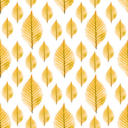 Full frame shot of paper design