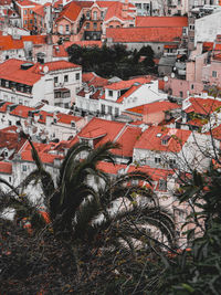 High angle view of buildings in town