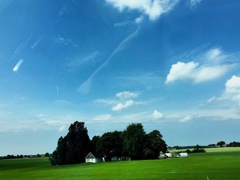 Trees on grassy field against cloudy sky