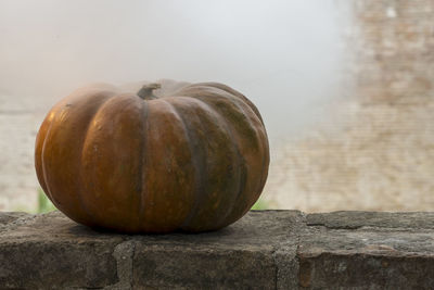 Close-up of pumpkin against wall