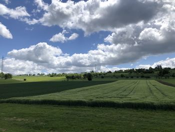 Scenic view of agricultural field against sky