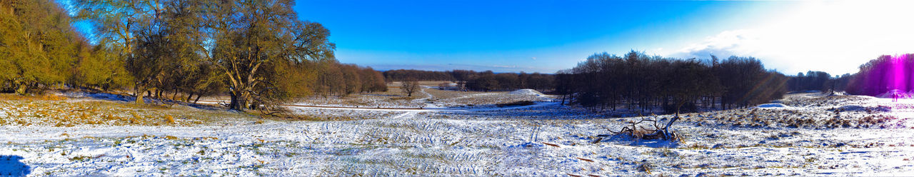 Trees on snow covered landscape against blue sky