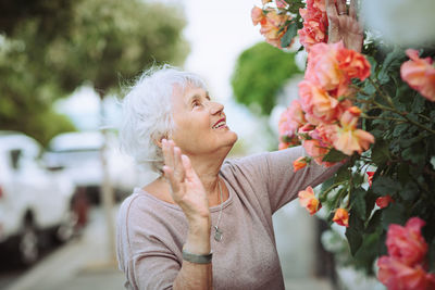 Elderly woman admiring beautiful bushes with colorful roses.