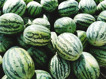 Full frame shot of fruits for sale in market