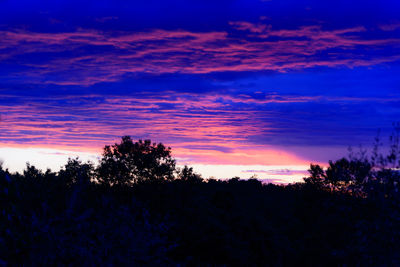 Silhouette trees against sky during sunset