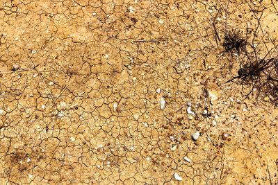 Full frame shot of cracked land