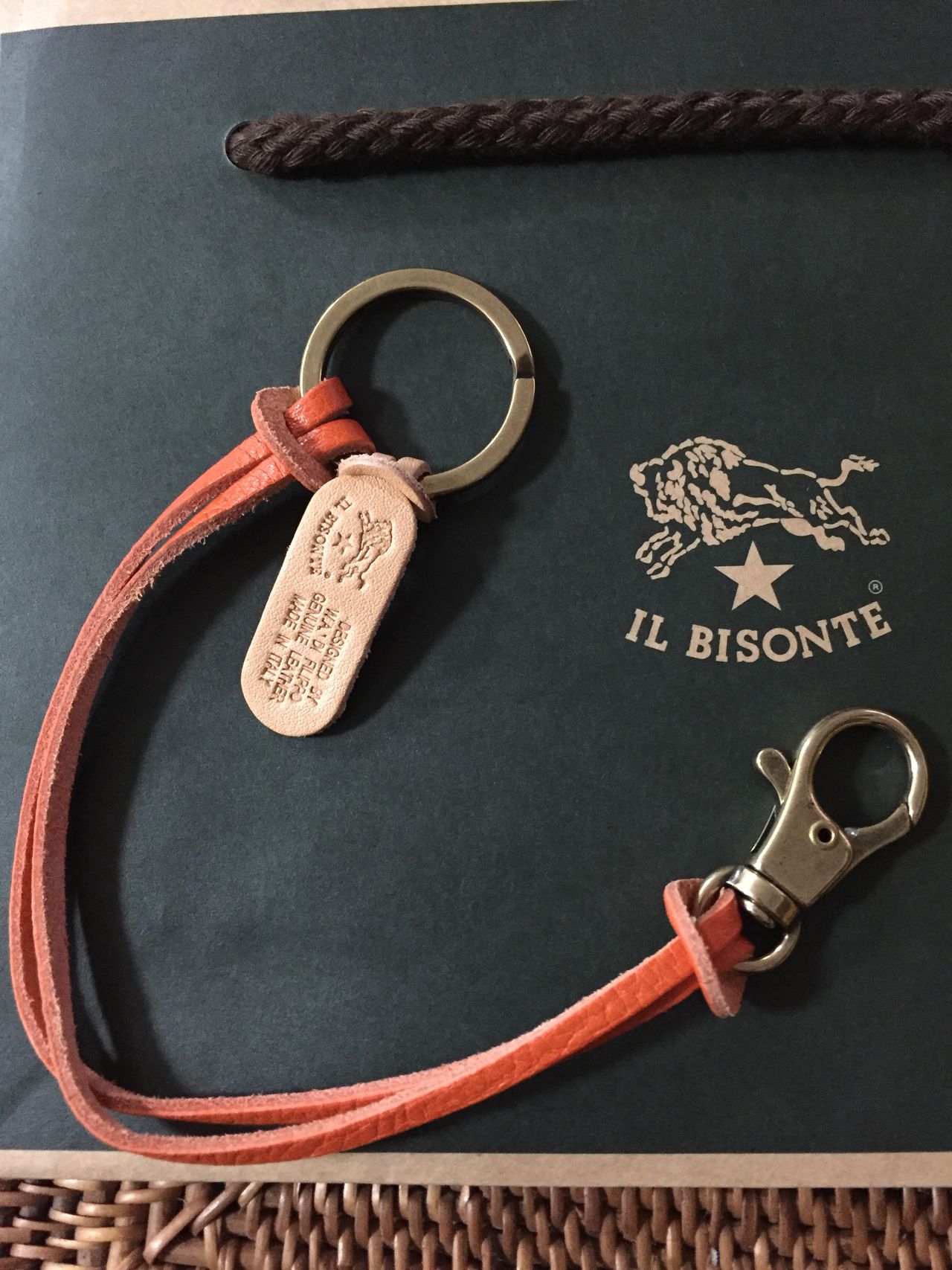 IL BISONTE