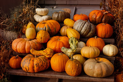 Pumpkins for sale at market