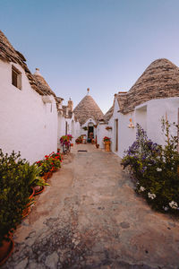 Trulli in the aia piccola district of alberbello