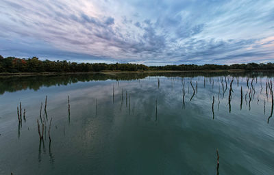 reflection