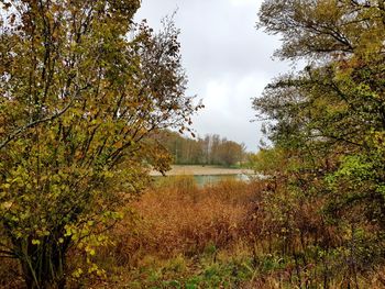 Scenic view of lake against sky during autumn