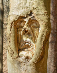 Statue of tree trunk