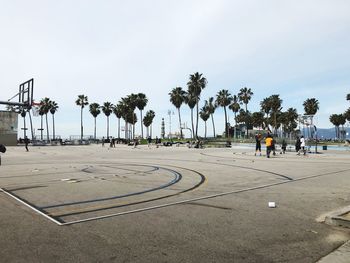 Palm trees on road against sky
