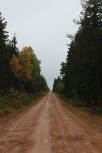 Empty road amidst trees in forest against clear sky