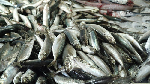 Fresh fish in asian market. sale of fresh sea fish in the asian public store. 