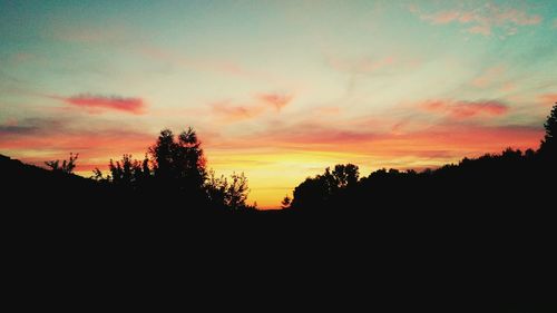 Silhouette of trees at sunset