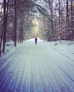 Person walking on snow covered landscape