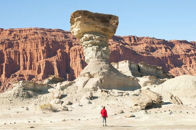 Rear view of man standing on rock