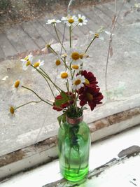 Close-up of flowers in vase