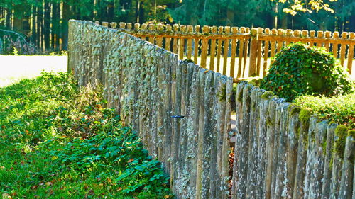 Wooden fence by trees on field