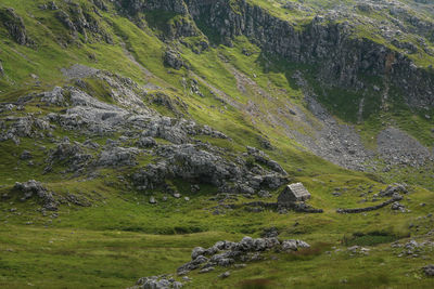 Scenic view of stream flowing through rocks