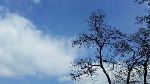 Low angle view of bare tree against sky