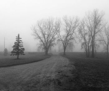 Bare trees on field against sky during winter