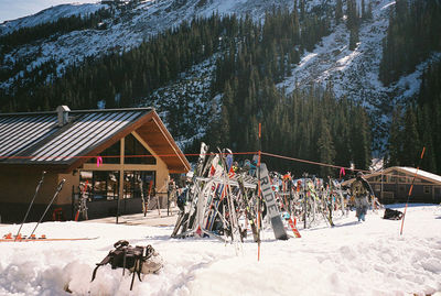 People on snow covered trees during winter