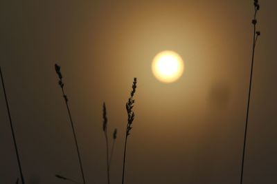 Scenic view of sky at sunset