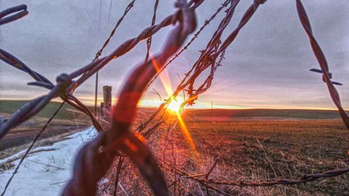 Close-up of sun on field against sky during sunset