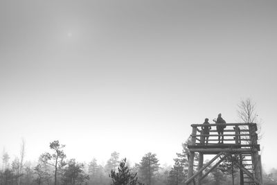 Low angle view of trees against clear sky during winter