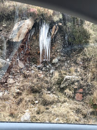 High angle view of waterfall along trees