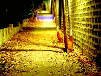 Empty walkway at night