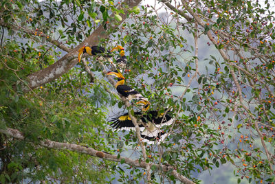 Bird perching on branch of flower