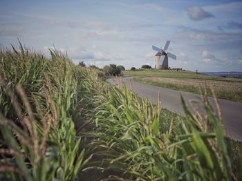 Scenic view of rural place