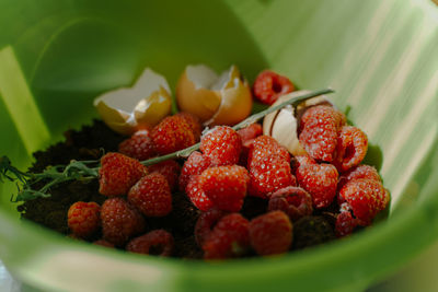 Rotten raspberries and eggshells in a green trash can