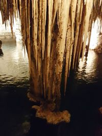 Close-up of reflection of tree in lake