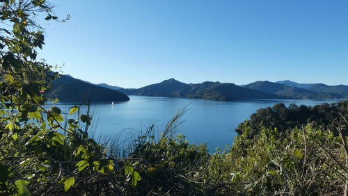 Scenic view of lake against clear blue sky