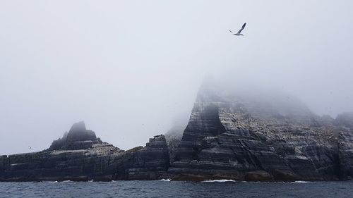 Birds flying over sea against sky