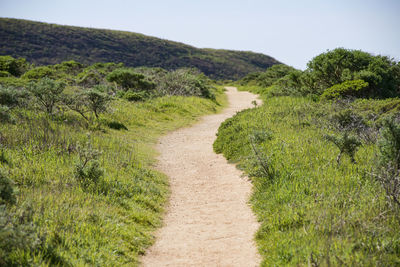 Scenic view of green landscape against clear sky