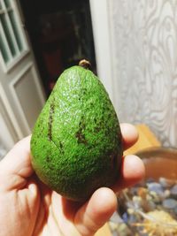 Close-up of hand holding fruit