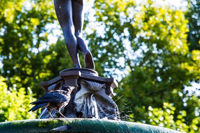 Low angle view of horse