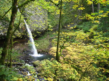 Scenic view of waterfall