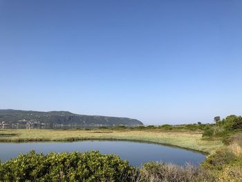 Scenic view of lake against clear blue sky