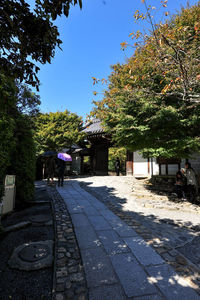 Footpath amidst trees and buildings against sky