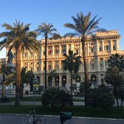 Palm trees in front of historical building