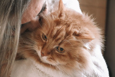 pet