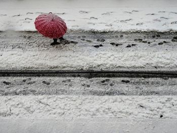 Red umbrella on snow covered land