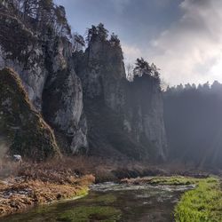 Rock formation amidst trees against sky