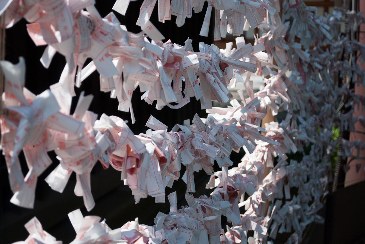 Juan Ramón Morales Nuñez